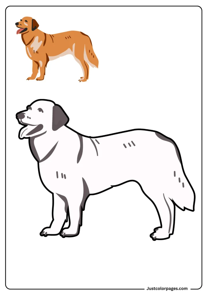 Free Golden retriever coloring pages pdf 
